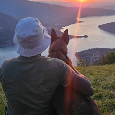 Elevage Terres d'Amara Bussieres Loire Malinois